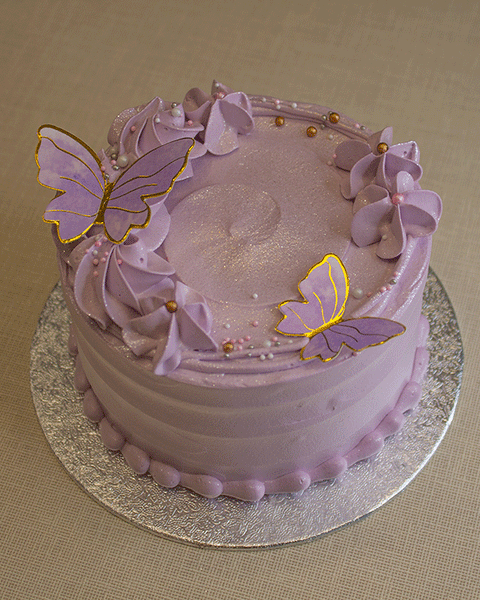 Butterfly Dream Bento Cake (Purple)