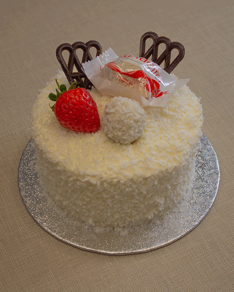 Raffaella Bento Cake